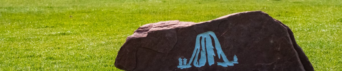 Member Preview Banner