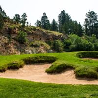 Course (16)